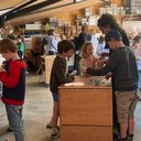 De Creatieve STEM