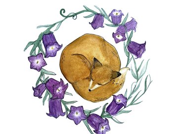 Puur in de Natuur — foto 2