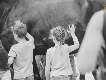 Ponykamp herfstvakantie 2026 — foto 1