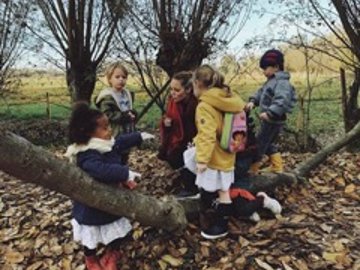 Francofolie: Bonjour les amis (krokuskampje) — foto 2