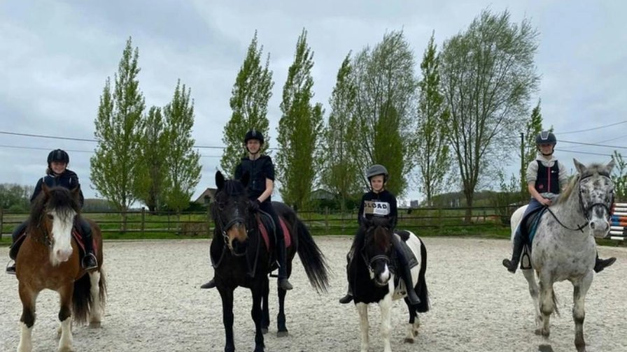Paardrijden in Wingene