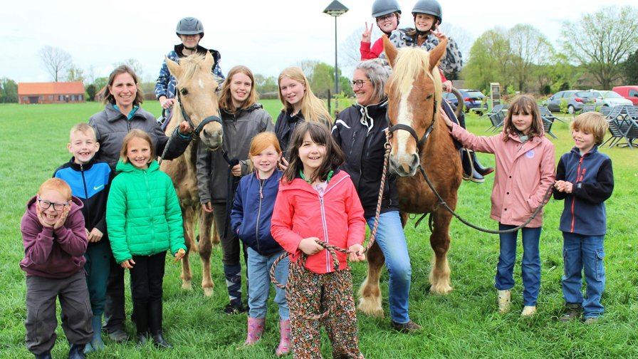 Groeikamp op de paardenboerderij