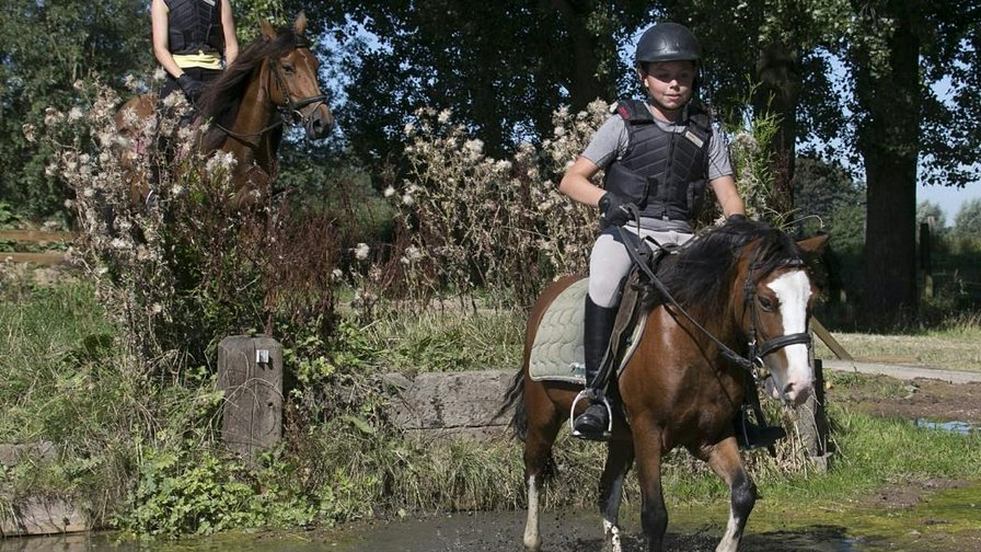 Eventing in Merelbeke