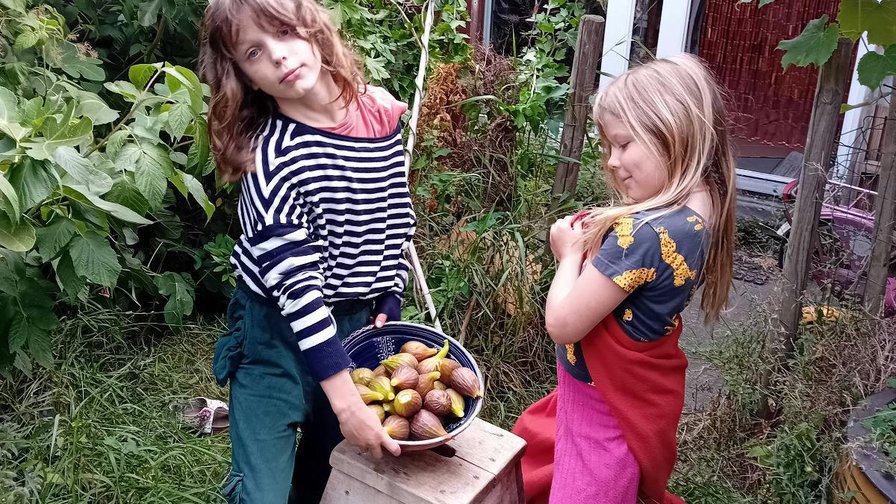 Kieskamp Inneris – jouw talenten, jouw ideeën, jouw kamp