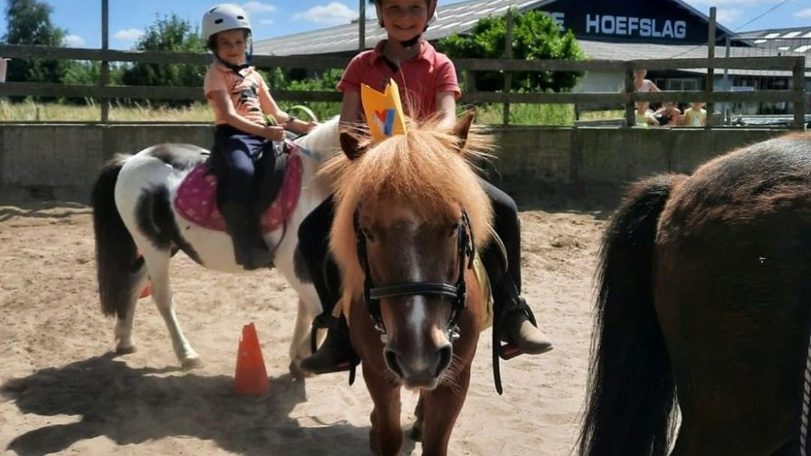 Paard- en ponykamp