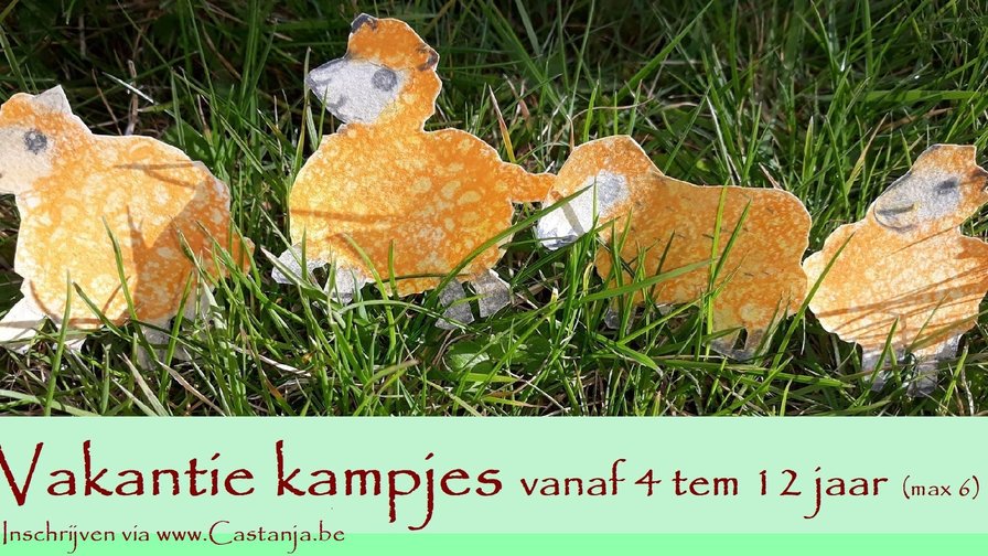 Vakantiekampjes - leeftijd vanaf 4 tem 12 jaar (max 6)