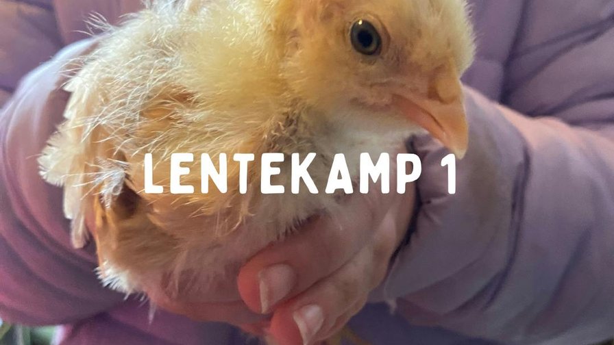 Lentekamp 1 dinsdag (30 maart 2027)