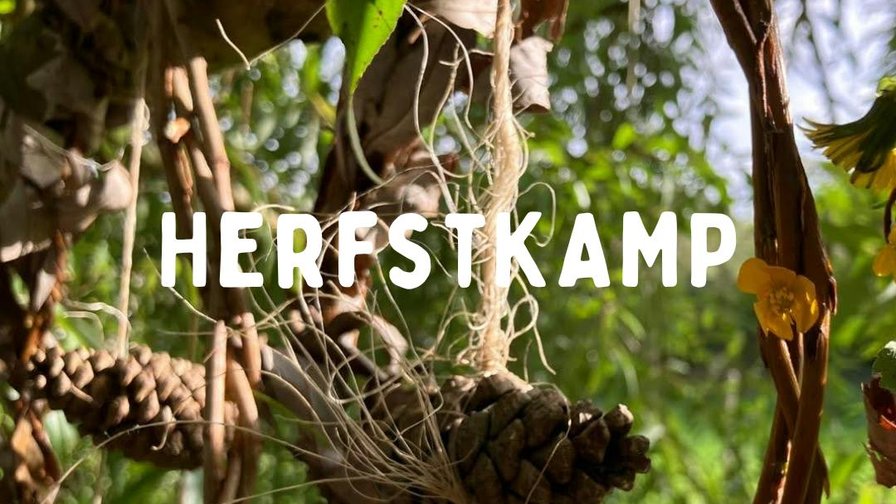 Herfstkamp dinsdag (3 november 2026)