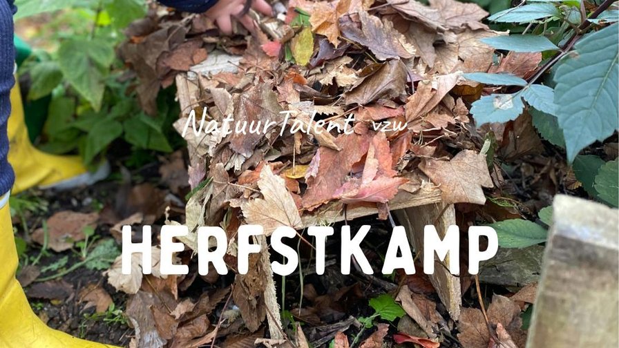 Herfstkamp