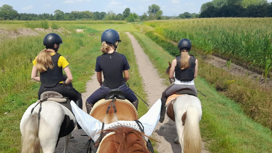 ponykamp 't Vijverke - PLUS 3daagse herfst 2026