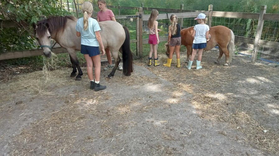 Crea- en yogakamp op de boerderij
