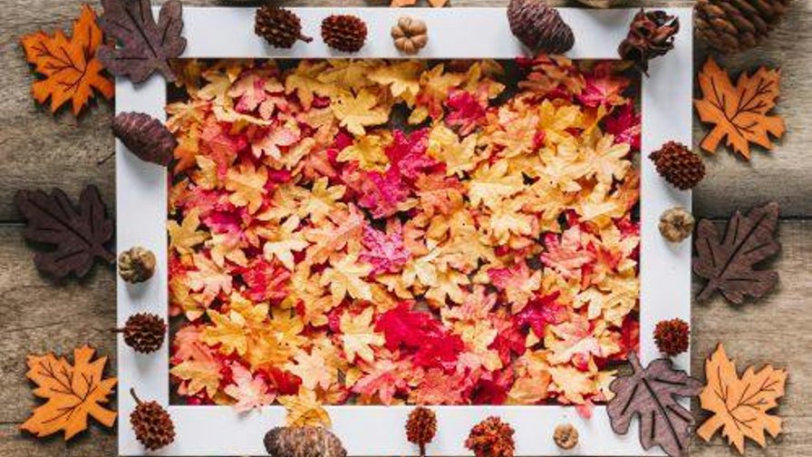 nm Dwarrelen door de herfst