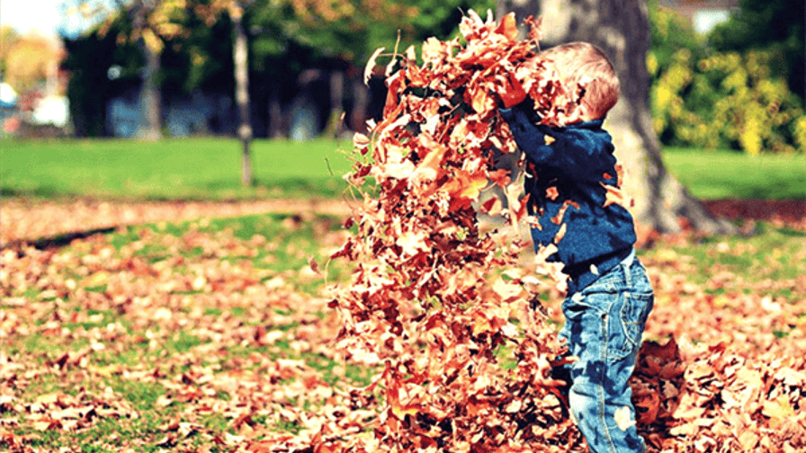 Speelvierdaagse 'Creatief in de kleurrijke herfst' (4-5 jaar)