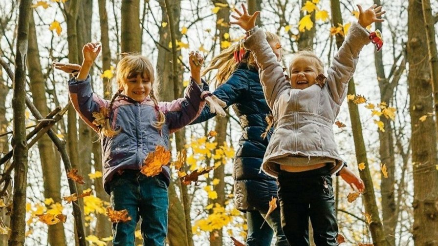 Kampje: Herstkracht: natuur, creativiteit en kleurenpracht!