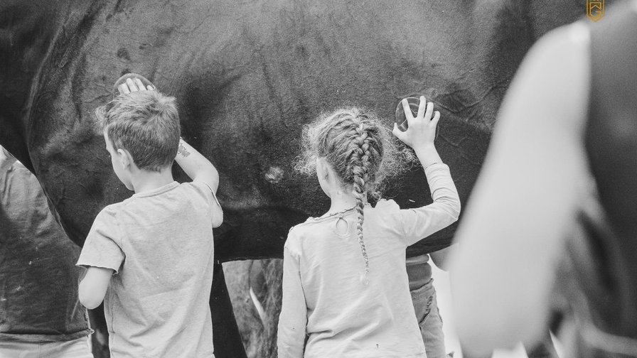 Ponykamp herfstvakantie 2026