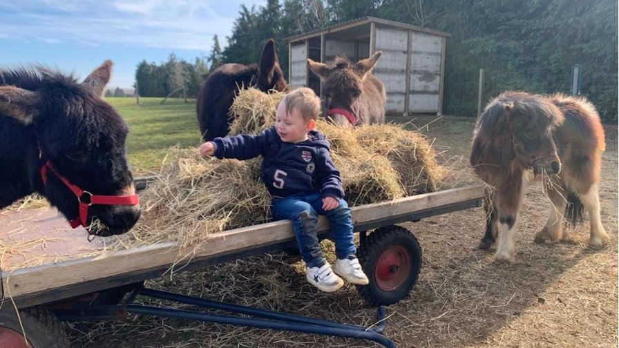 Beleef een kampdag op de boerderij