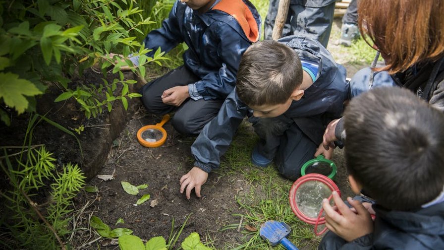 Herfstkamp: Spinnen op het spoor