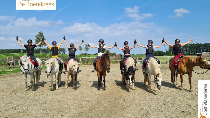 Ponykamp niveau 2 en  4