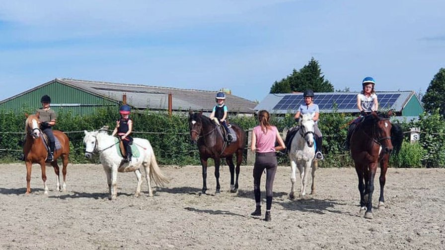 Paardenkamp bij Hof Ter Zeedycke