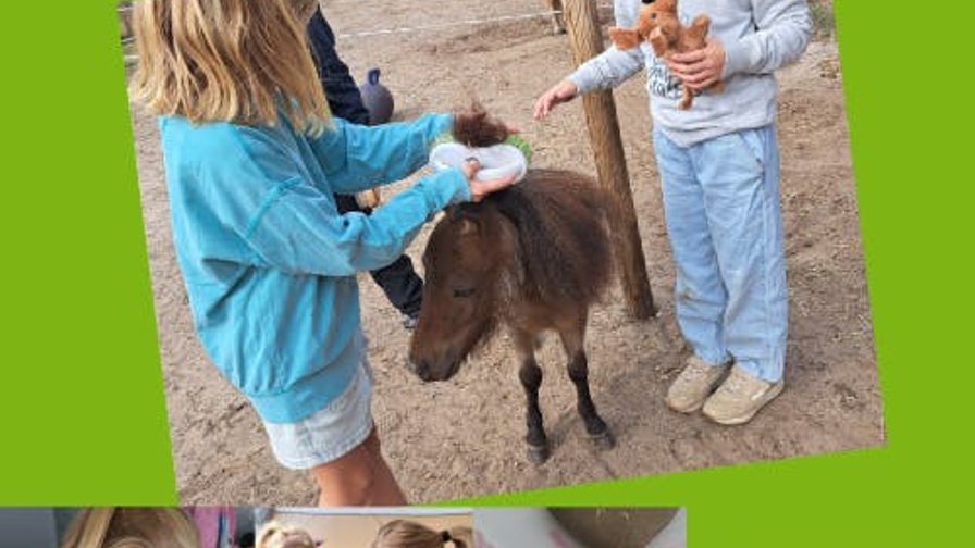 Kampje “Sterk als een Pony” – Kampje “Wat is van mij… en wat niet?”