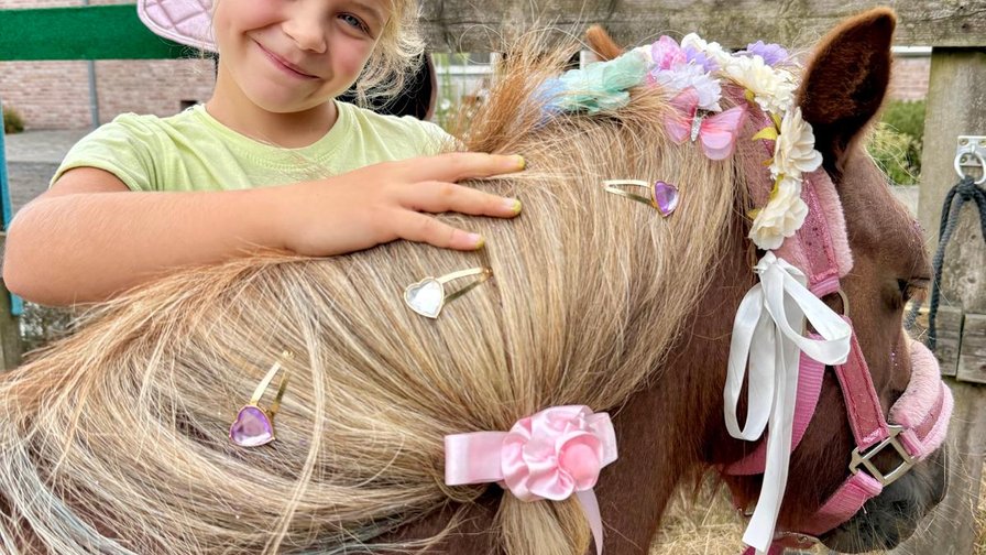 Alpaca- en ponythemakamp