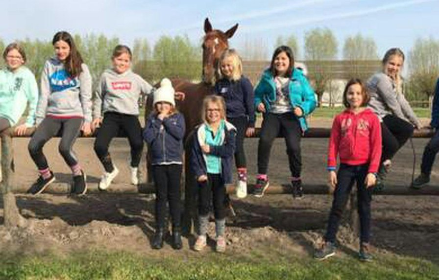 Paardrijden in de Leiestreek