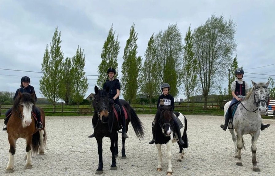 Paardrijden in Wingene