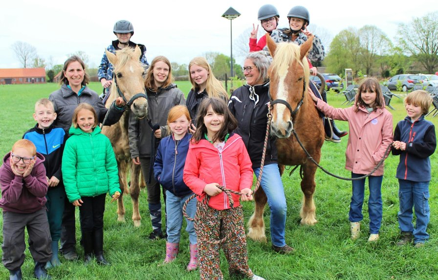 Groeikamp op de paardenboerderij