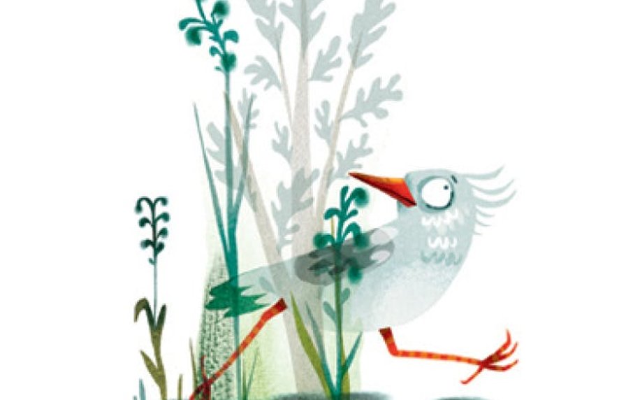 De geluksvogels