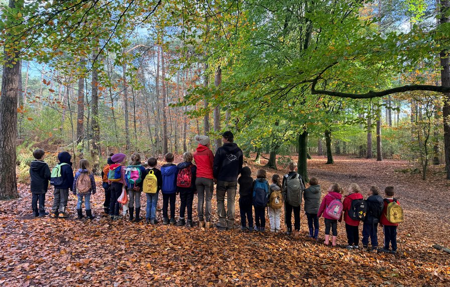 Wild&Mild kids kampje