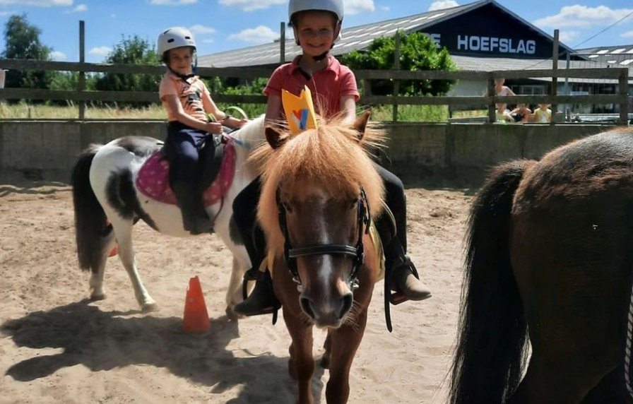 Paard- en ponykamp