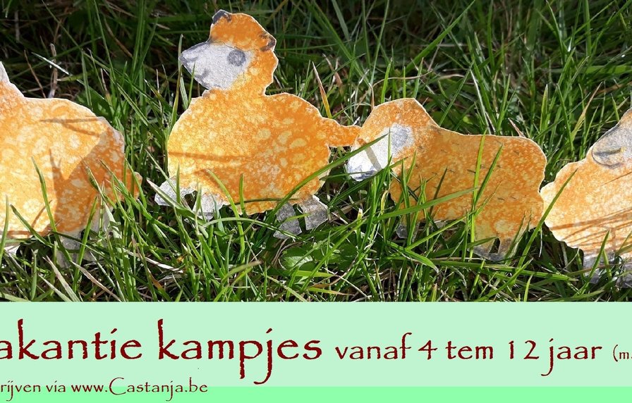 Vakantiekampjes - leeftijd vanaf 4 tem 12 jaar (max 6)