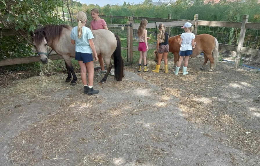 Crea- en yogakamp op de boerderij