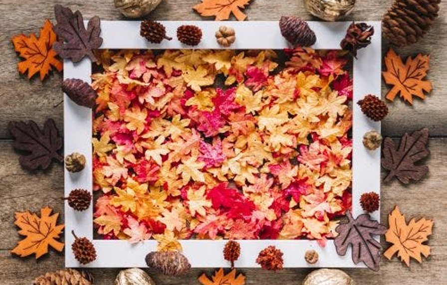 nm Dwarrelen door de herfst
