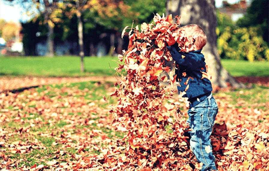 Speelvierdaagse 'Creatief in de kleurrijke herfst' (4-5 jaar)
