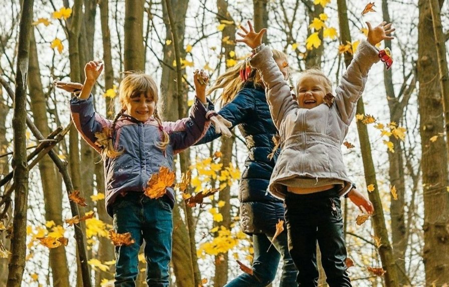 Kampje: Herstkracht: natuur, creativiteit en kleurenpracht!