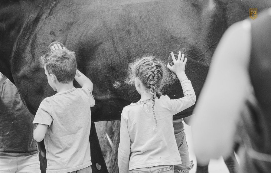 Ponykamp herfstvakantie 2026