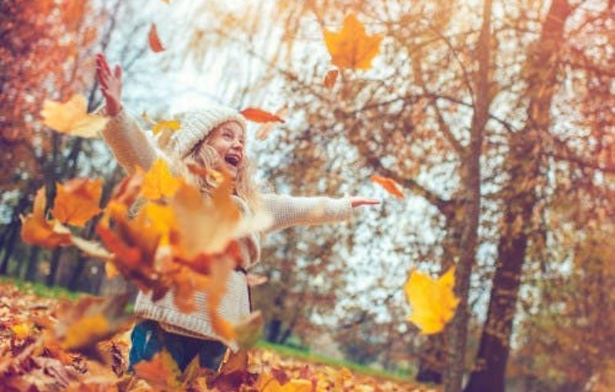 Herfstkriebels