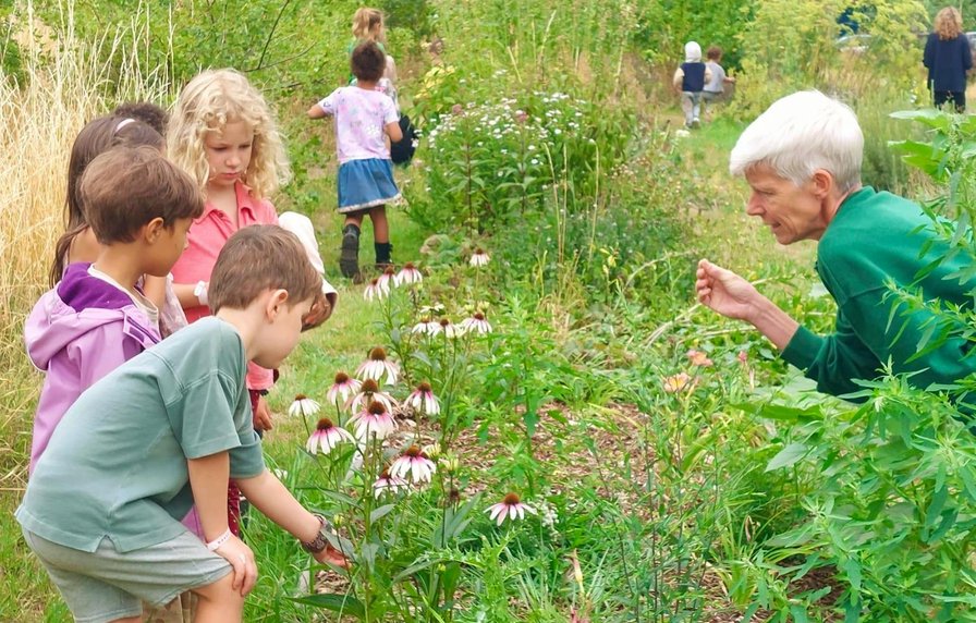 Op ontdekking. Verwondering en natuurplezier tijdens het kampje van Plukgeluk.