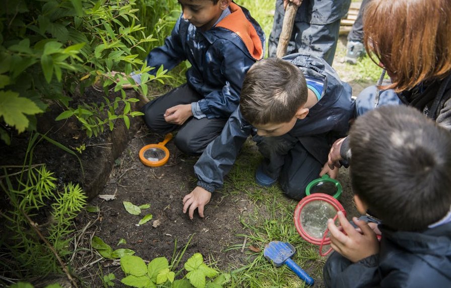 Herfstkamp: Spinnen op het spoor