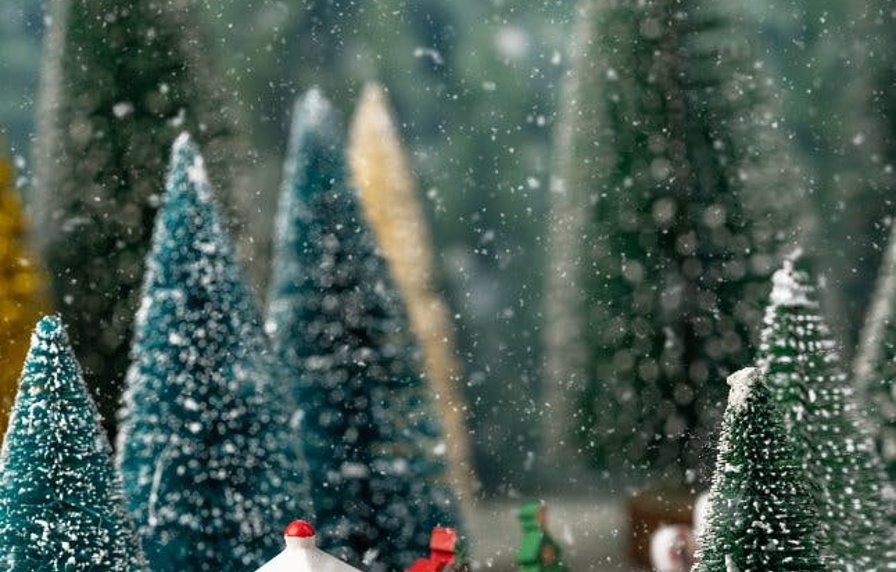 De Miereneter workshop Kerstminiatuurhuisjes (�2017-�2014) 9.30 tot 12 u.