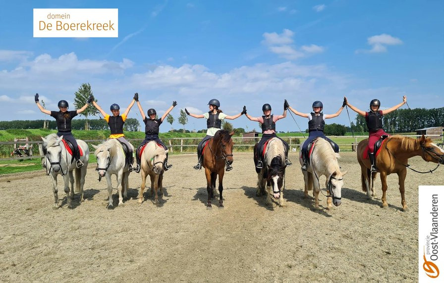 Ponykamp niveau 2 en  4