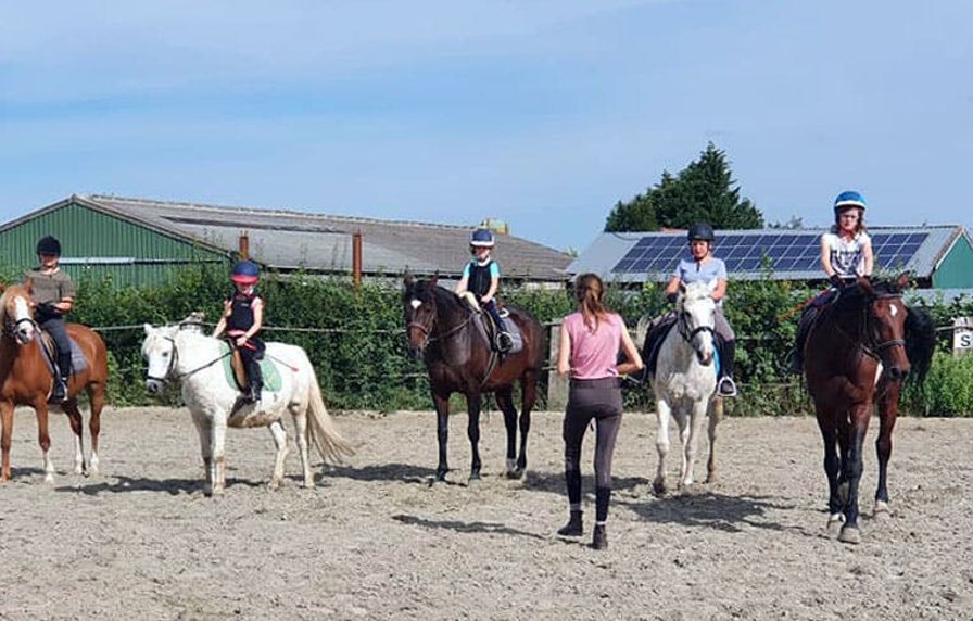 Paardenkamp bij Hof Ter Zeedycke