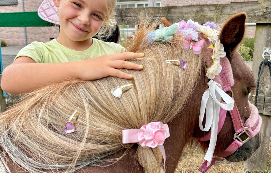 Alpaca- en ponythemakamp